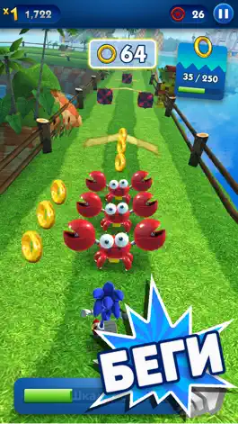 Game screenshot Sonic Dash - бег игра и гонки mod apk