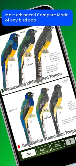 All Birds Trinidad and Tobago(圖6)-速報App