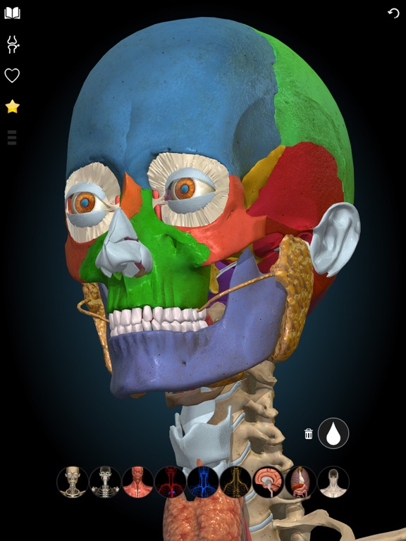 3D Anatomy Learning - Atlasのおすすめ画像8