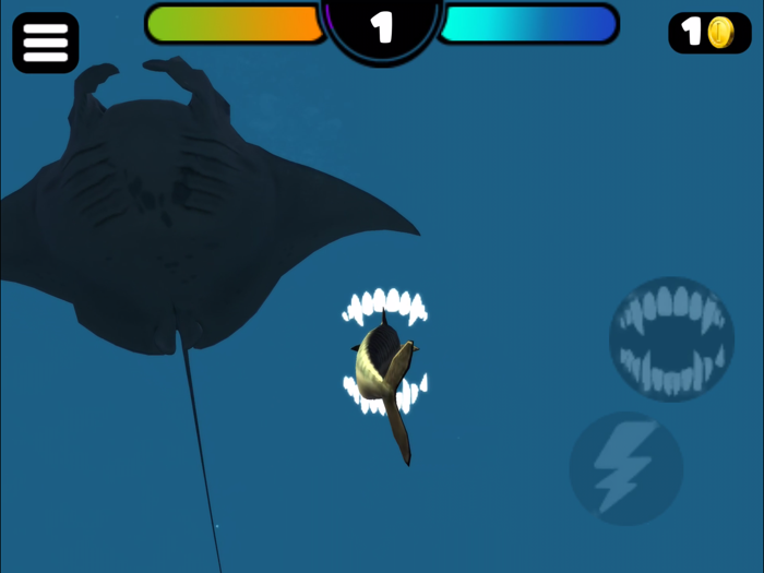 FEEDING AND GROW - 3D FISH