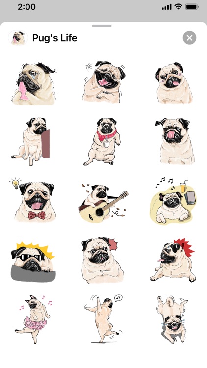 Pug's Life screenshot-3