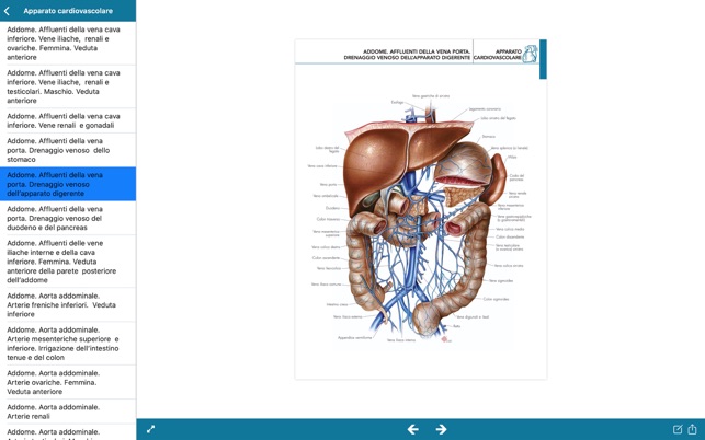 Atlante di Anatomia(圖3)-速報App