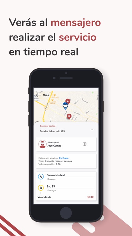 MS Mensajería screenshot-3