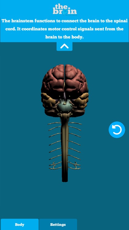 The Brain AR App