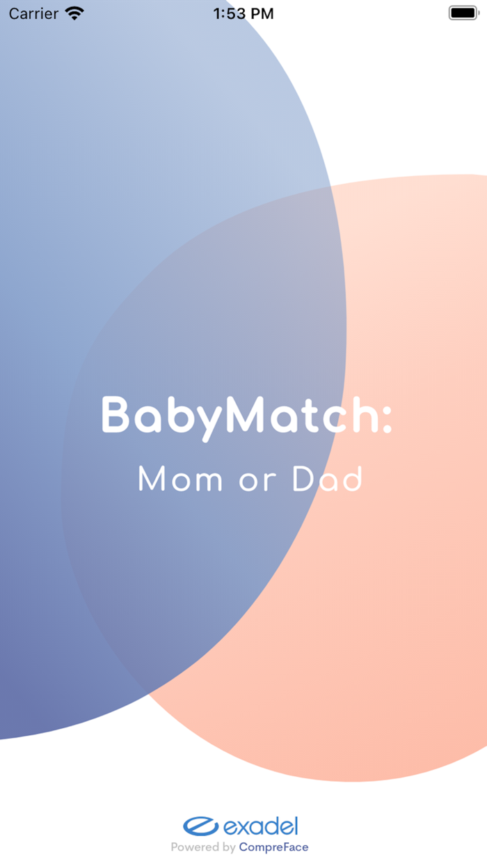 BabyMatch Mom or Dad