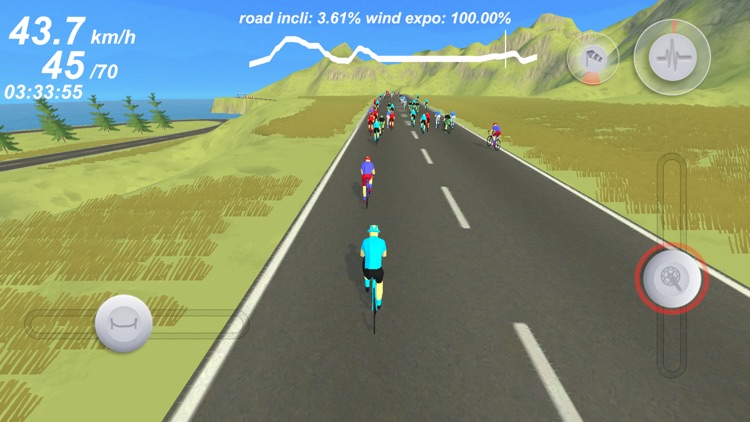 Pro Cycling Simulation