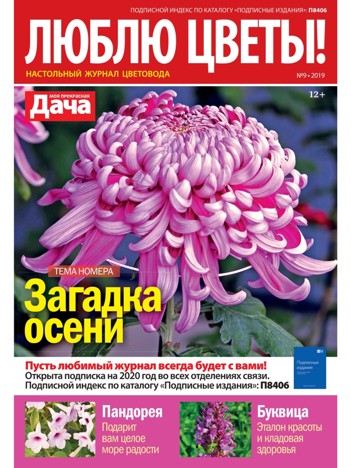 Люблю цветы