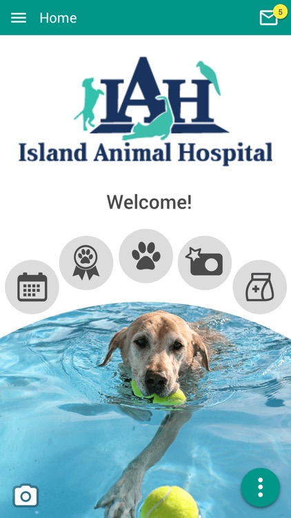 Island Animal Hospital