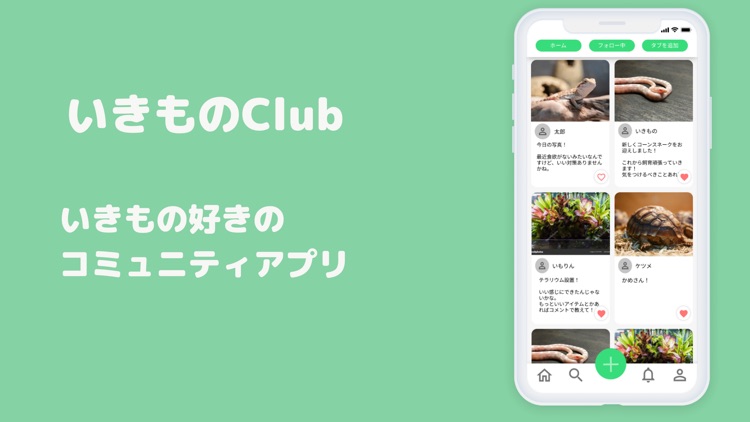 いきものClub