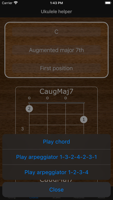 Ukulele Helper 6