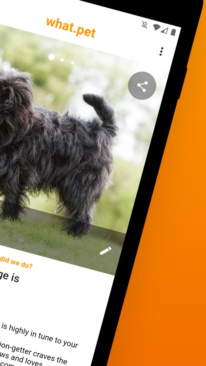 What.pet - Cats & Dogs AI App