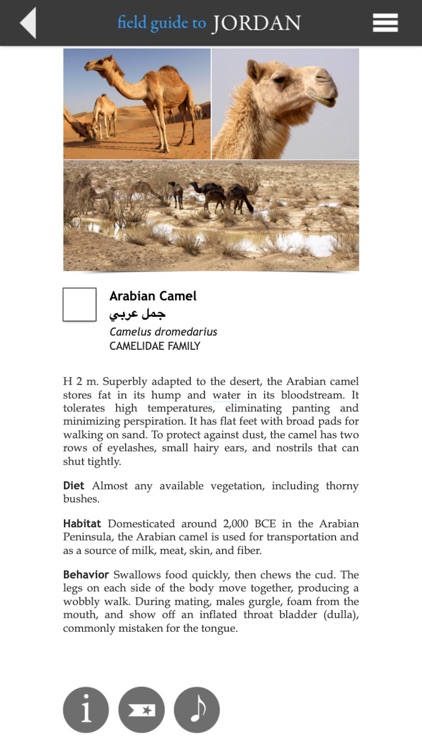 Field Guide to Jordan screenshot-5