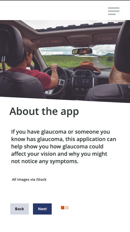 Glaucoma in Perspective