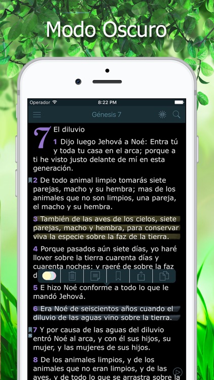 La Biblia Reina Valera Audio
