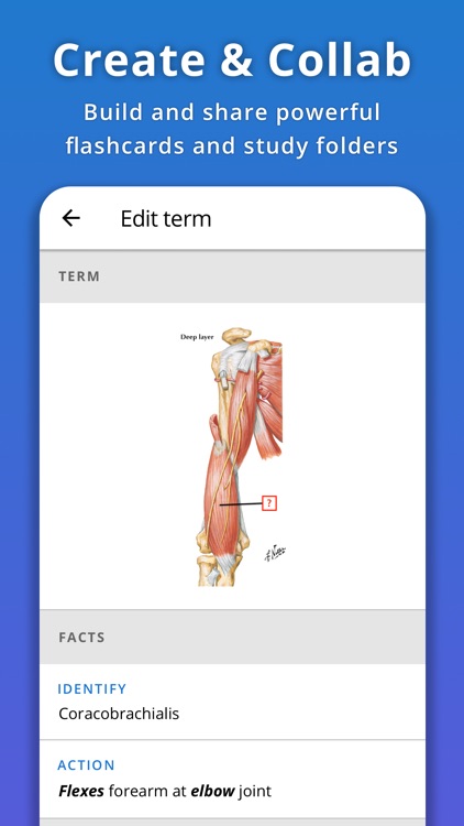 Memorang: Flashcards & Quizzes By Memorang