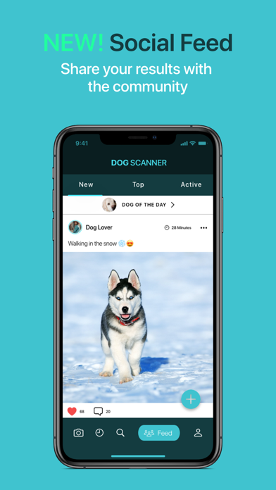 How to cancel & delete Dog Scanner from iphone & ipad 4