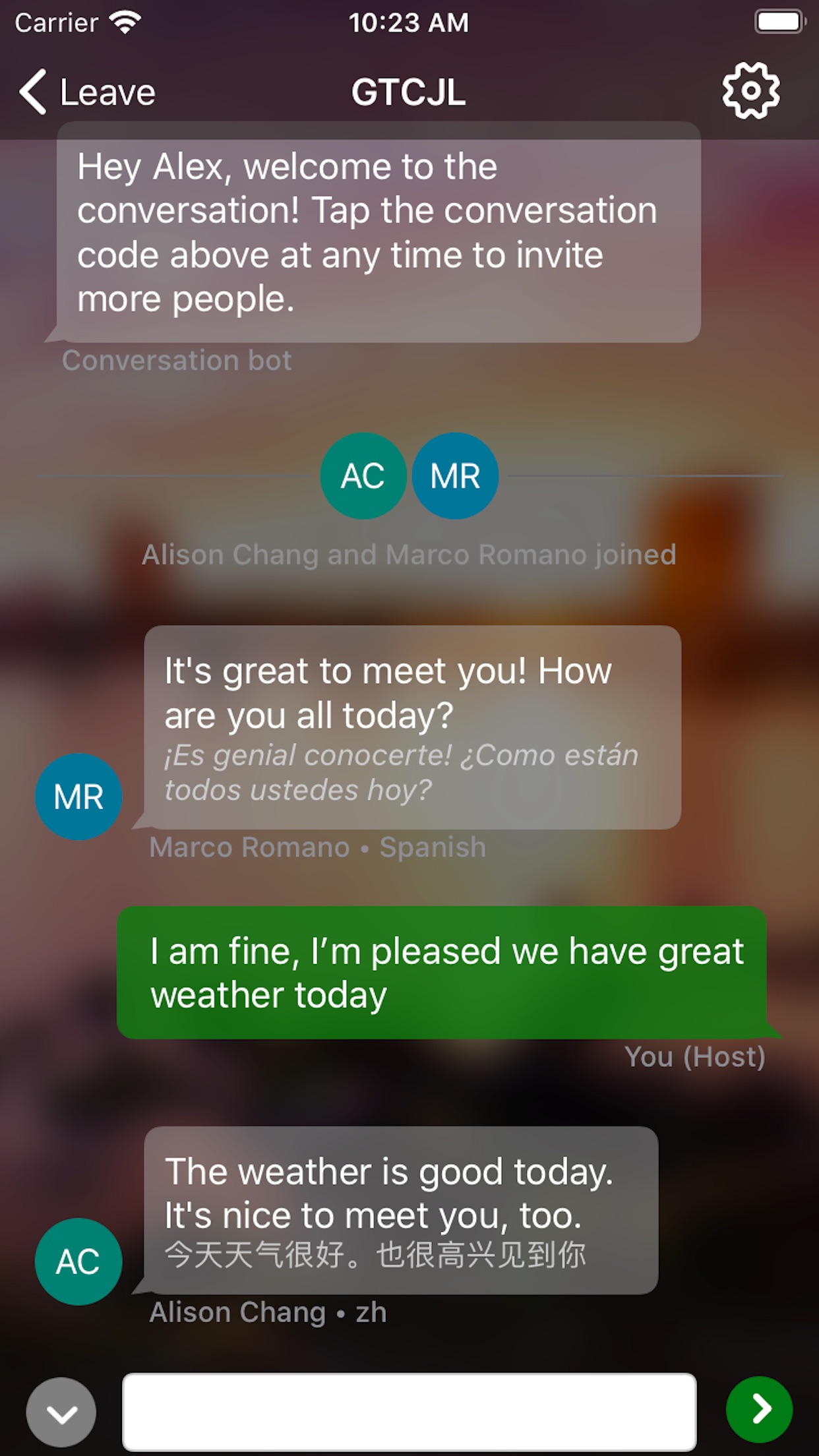 Screenshot do app Microsoft Translator