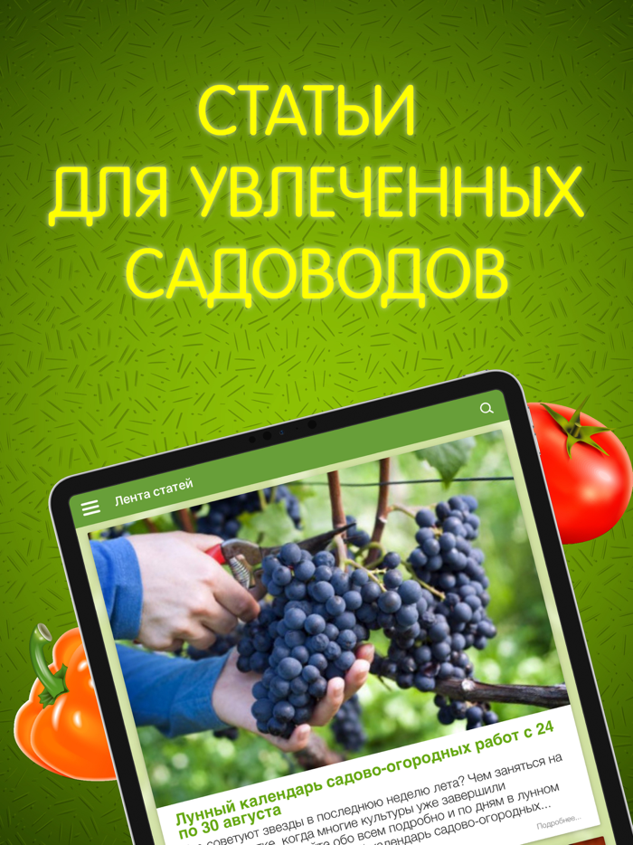 Антонов сад