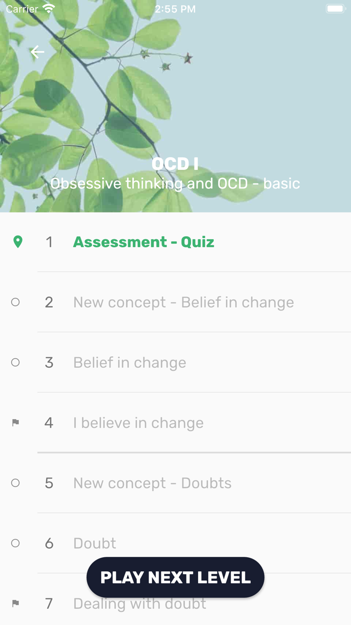 GG OCD - Thoughts Exercise