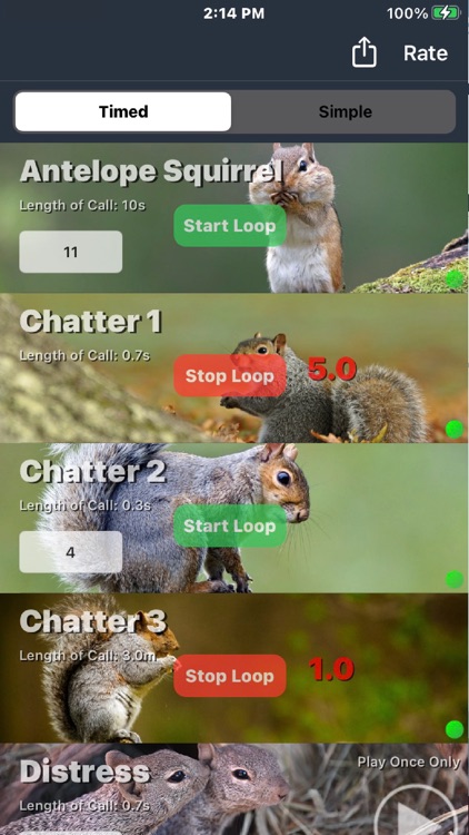 Squirrel Hunting Call screenshot-3