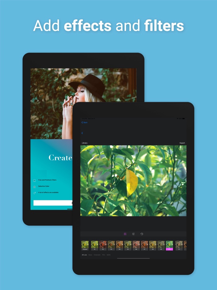 TikFans Followers  Boost