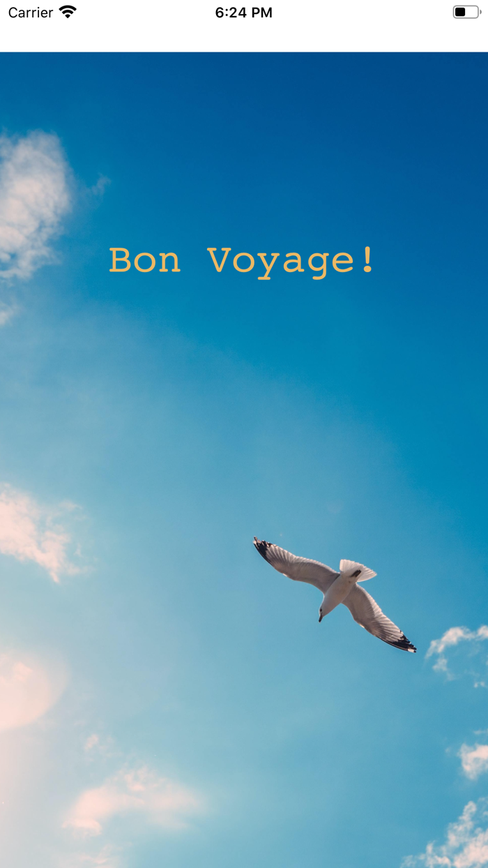 Bon Voyage