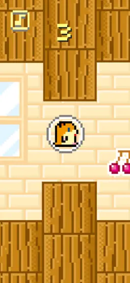 Game screenshot Float Up ! Bubble Hamster apk