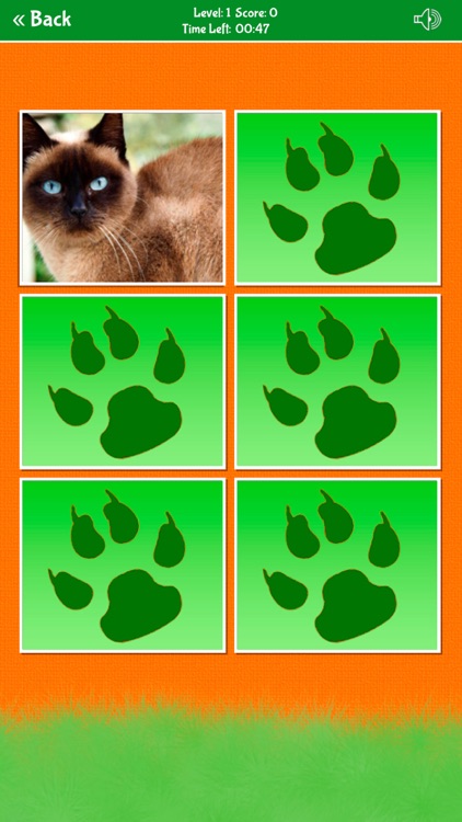 Zoo Animals Matching Game screenshot-4