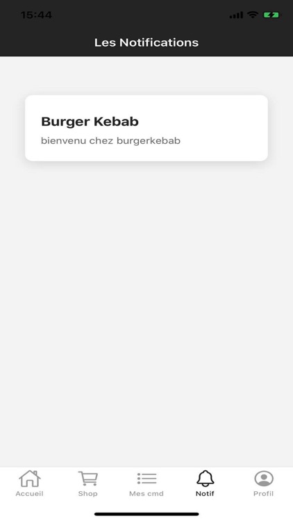 Burger Kebab screenshot-3