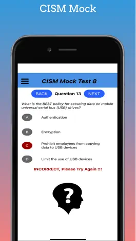 Game screenshot CISM Mock hack