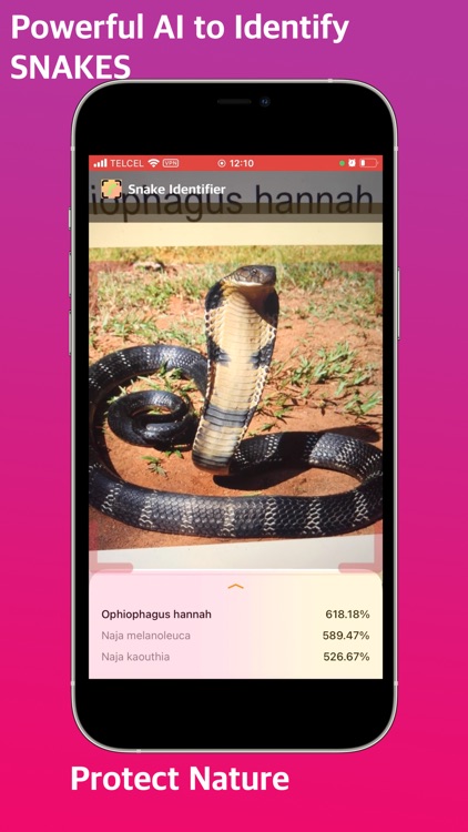 Snake Identifier