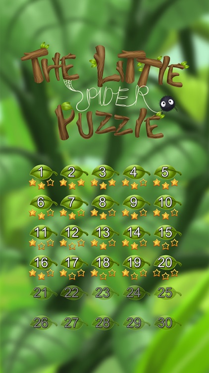 The Little Spider Puzzle