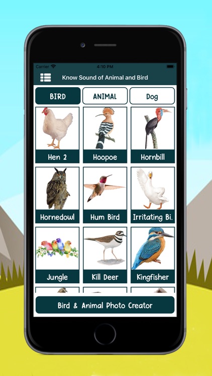 Know Sound of Animal and Bird