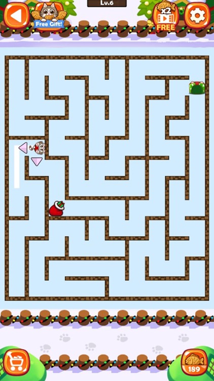 Maze Cat - Rookie