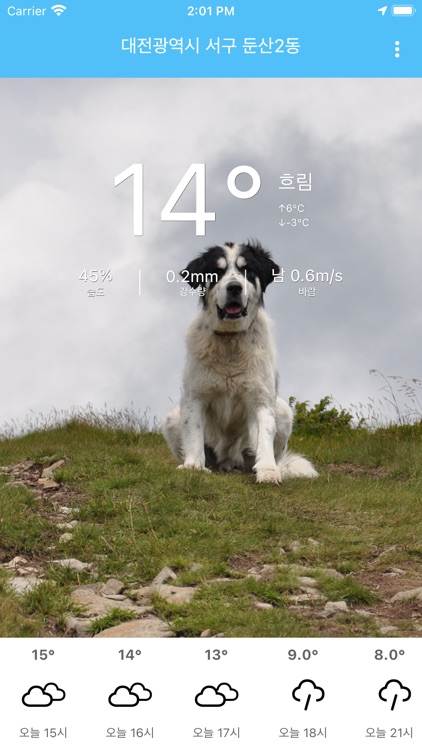 댕댕날씨 - 강아지 산책, 캠핑, 야외활동을 위한 앱