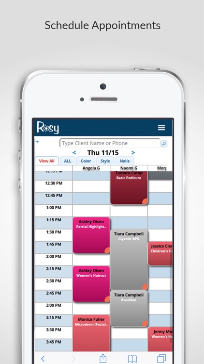 Rosy Salon Software