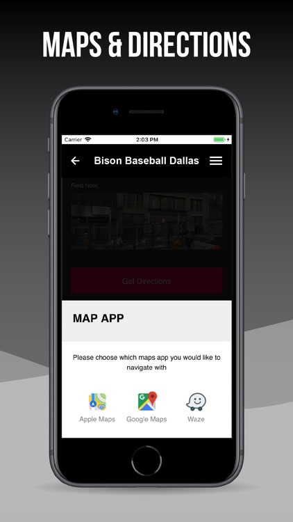 Bison Baseball Dallas screenshot-4