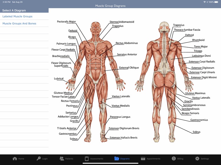 Massage Therapy Manager screenshot-9