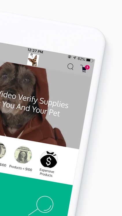 Pet Video Verify Pet Supplies