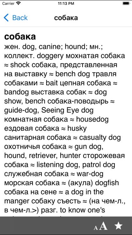 Big English-Russian dictionary