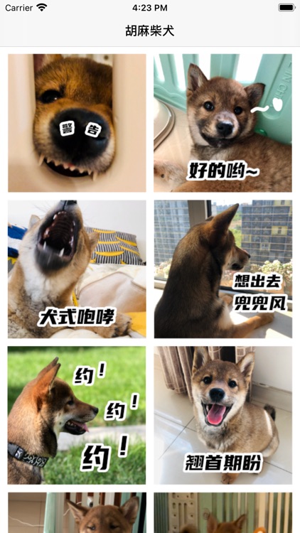 胡麻柴犬