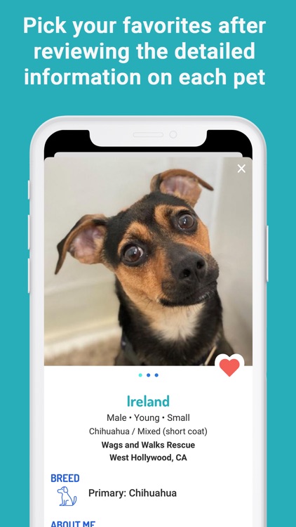 WeRescue – Adopt a Pet screenshot-5