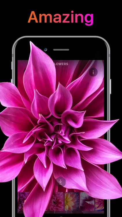 Live Wallpaper & Wallpapers HD