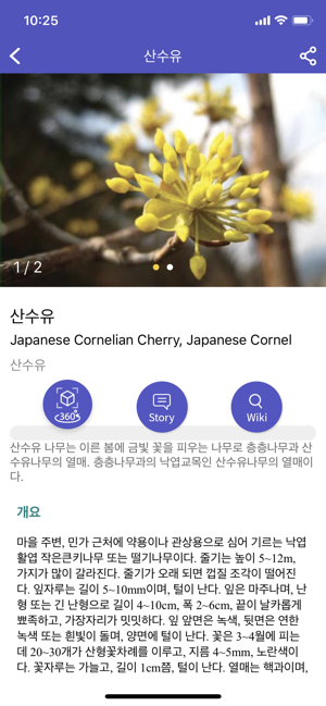Naturei 나무/식물/곤충 인식(圖4)-速報App
