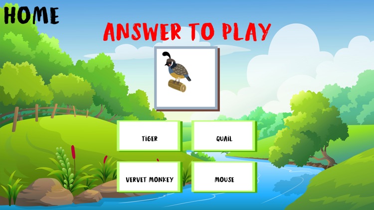 Taayto - ZPIDER ZHOOT