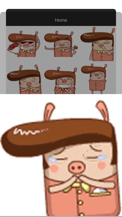 CoolPig Expression