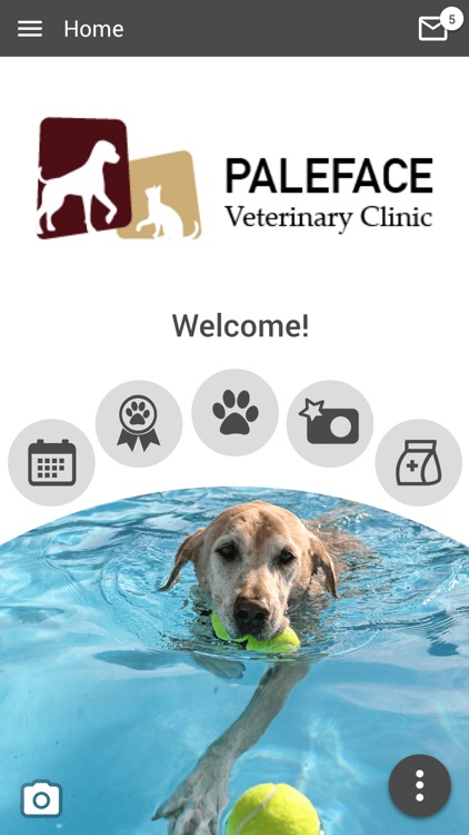 Paleface Vet Clinic