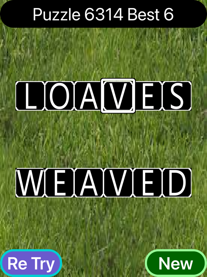 Accessible Word Ladders