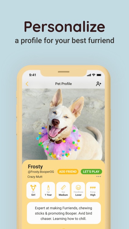 Booper - Dog Social Network screenshot-6