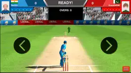 Game screenshot Cricket Death overs hack